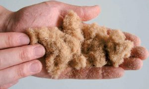 TMP-Fibres-MDF2
